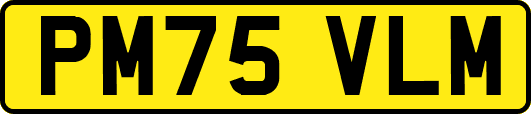 PM75VLM