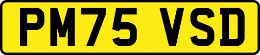 PM75VSD