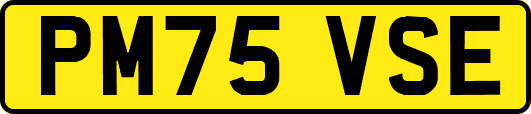 PM75VSE