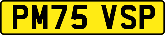PM75VSP
