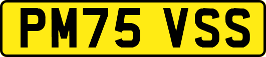 PM75VSS