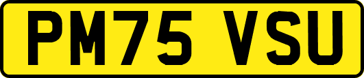 PM75VSU
