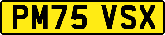 PM75VSX