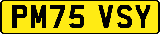PM75VSY