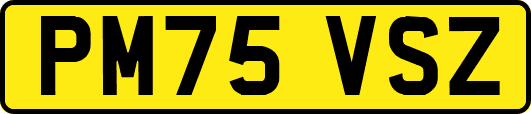 PM75VSZ