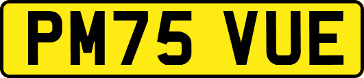 PM75VUE