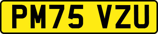 PM75VZU