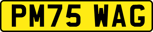 PM75WAG