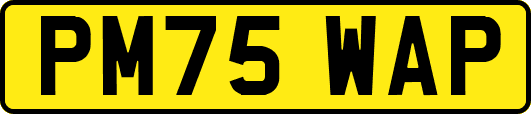 PM75WAP