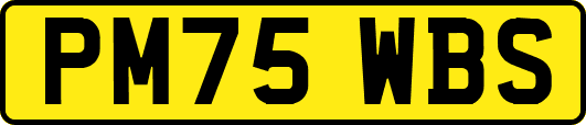 PM75WBS