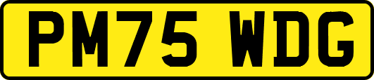 PM75WDG