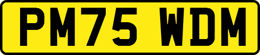 PM75WDM