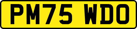 PM75WDO