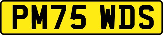 PM75WDS