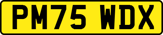PM75WDX