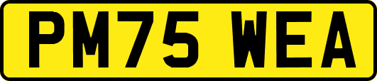 PM75WEA