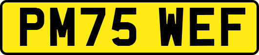 PM75WEF