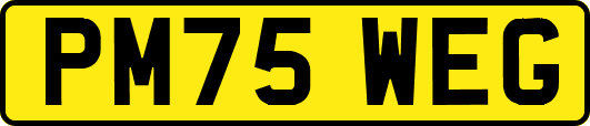 PM75WEG