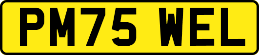PM75WEL