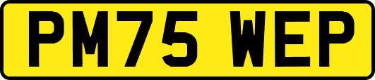 PM75WEP