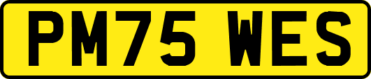 PM75WES