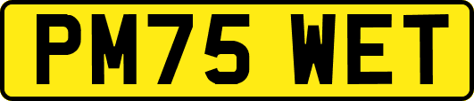 PM75WET