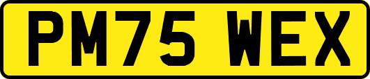 PM75WEX