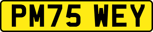 PM75WEY
