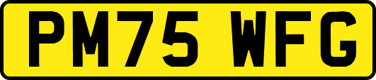PM75WFG