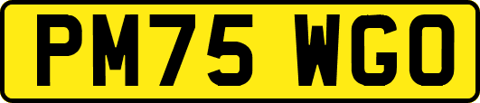 PM75WGO