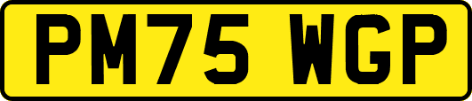 PM75WGP