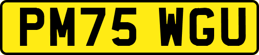 PM75WGU