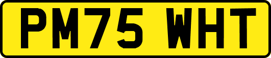 PM75WHT
