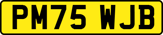 PM75WJB