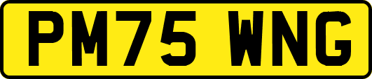 PM75WNG
