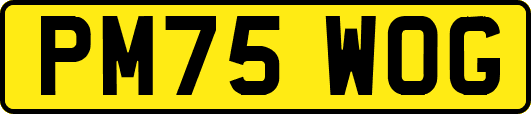 PM75WOG