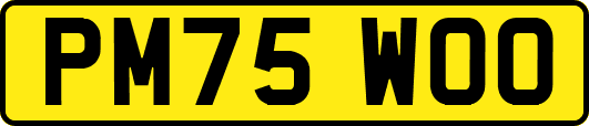 PM75WOO