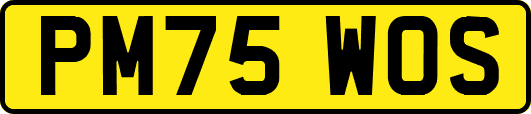 PM75WOS