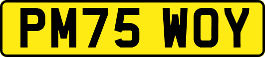 PM75WOY