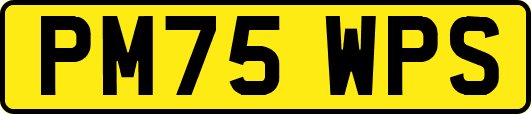 PM75WPS