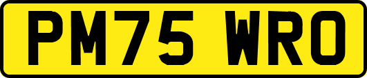 PM75WRO