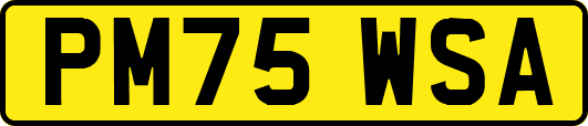 PM75WSA