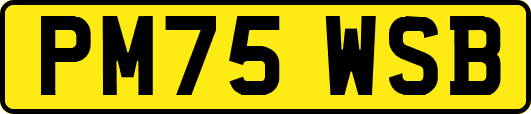 PM75WSB