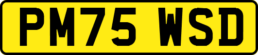 PM75WSD