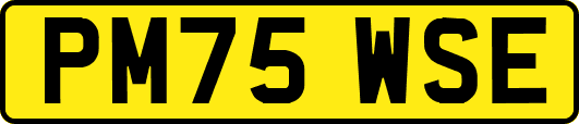 PM75WSE