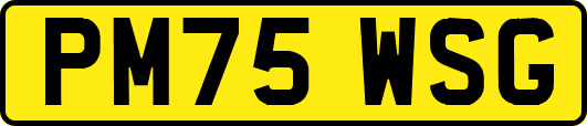 PM75WSG