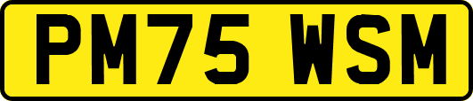 PM75WSM