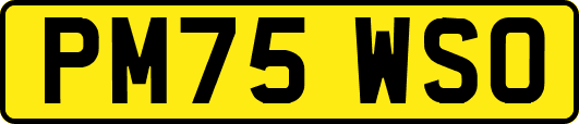 PM75WSO