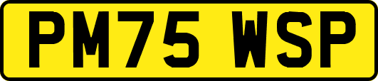 PM75WSP