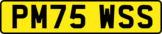 PM75WSS